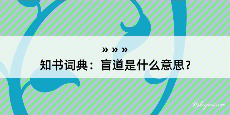 知书词典：盲道是什么意思？