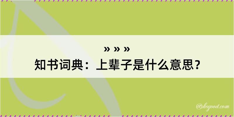 知书词典：上辈子是什么意思？