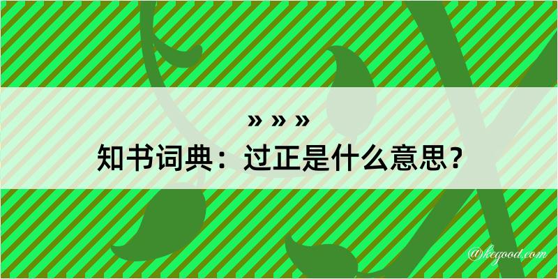 知书词典：过正是什么意思？