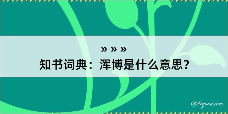 知书词典：浑博是什么意思？