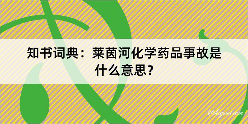 知书词典：莱茵河化学药品事故是什么意思？