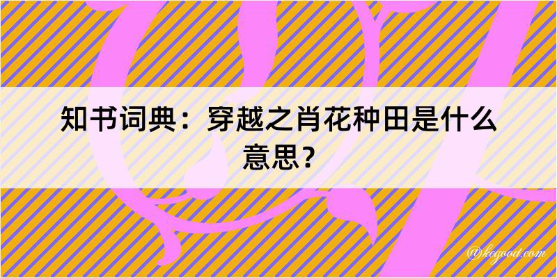 知书词典：穿越之肖花种田是什么意思？