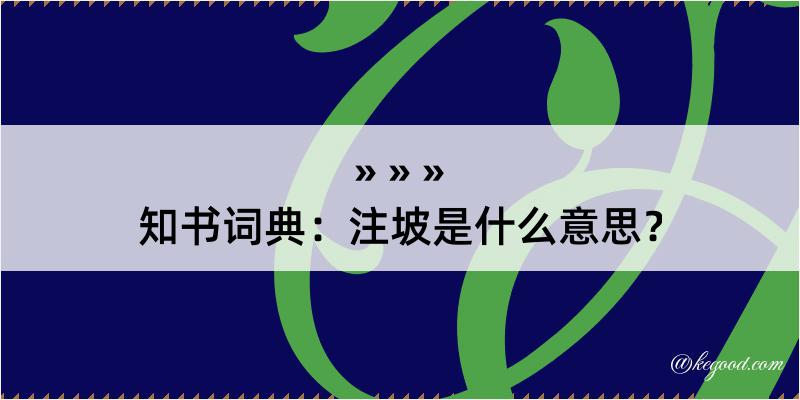 知书词典：注坡是什么意思？