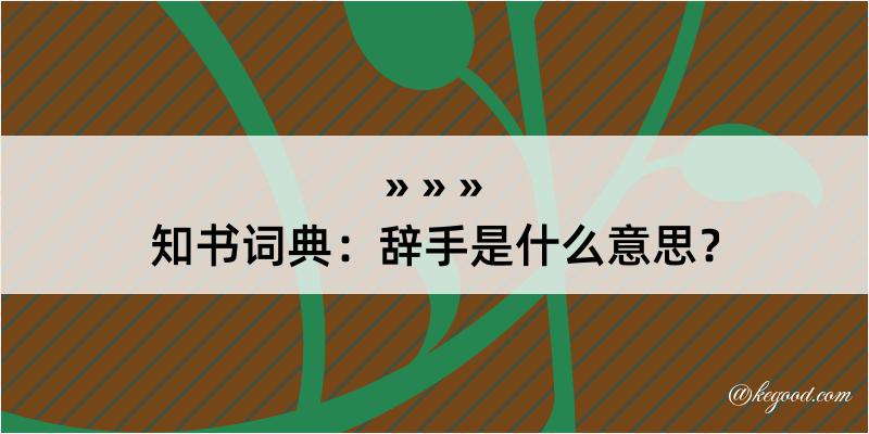 知书词典：辞手是什么意思？