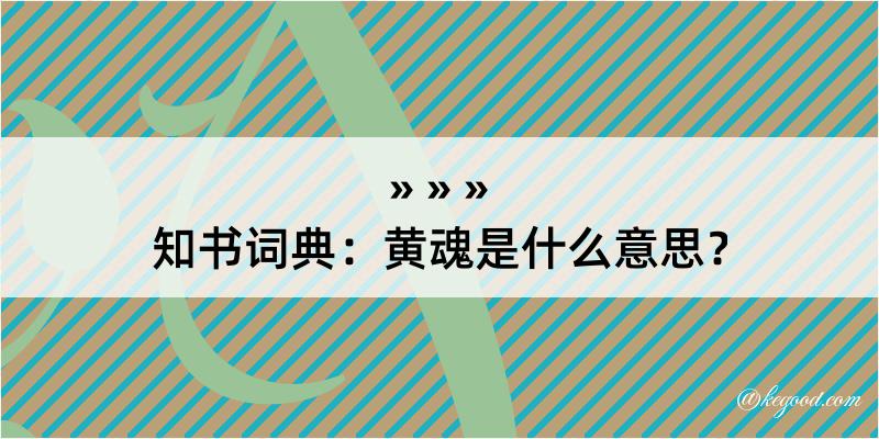 知书词典：黄魂是什么意思？