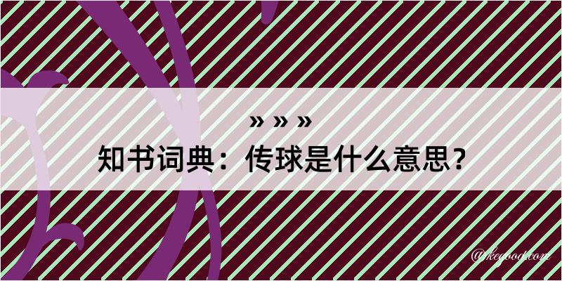 知书词典：传球是什么意思？