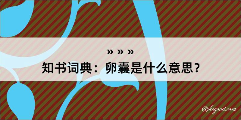 知书词典：卵囊是什么意思？