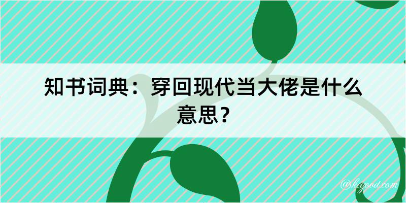 知书词典：穿回现代当大佬是什么意思？