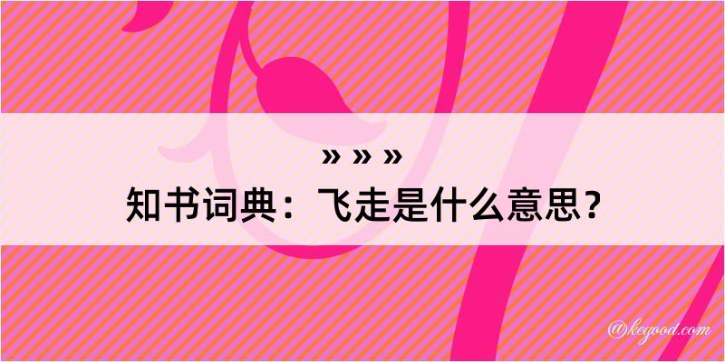 知书词典：飞走是什么意思？