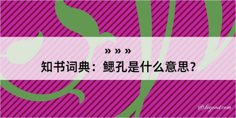 知书词典：鳃孔是什么意思？