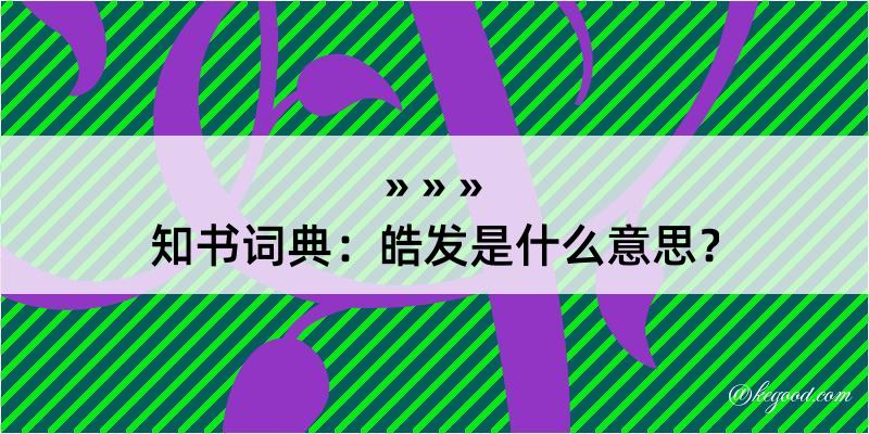 知书词典：皓发是什么意思？