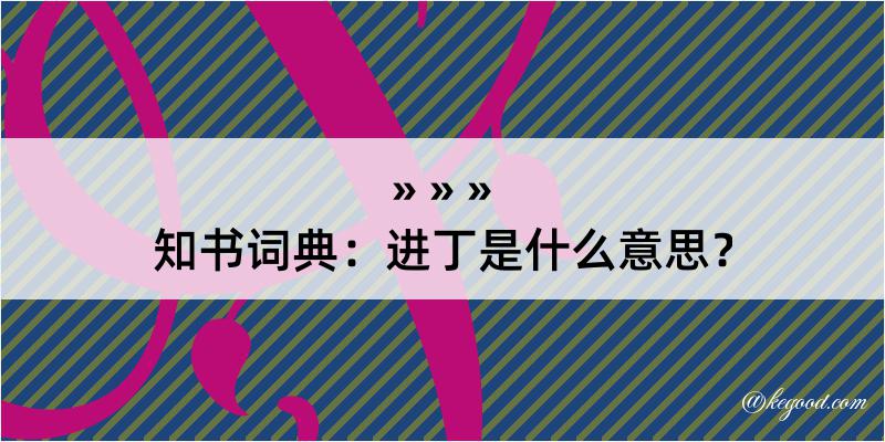 知书词典：进丁是什么意思？