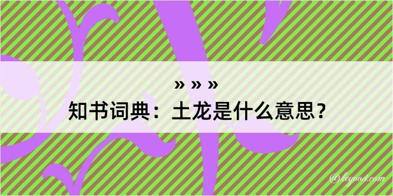 知书词典：土龙是什么意思？