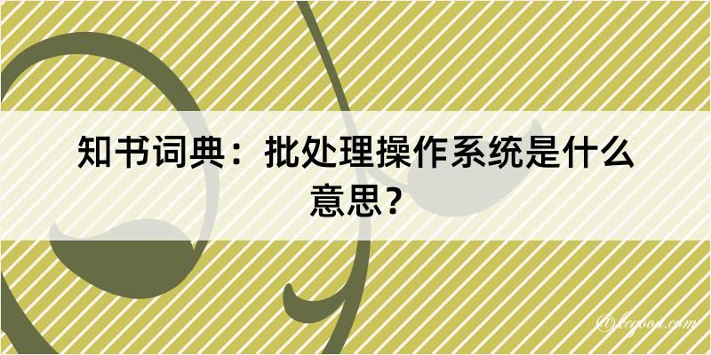 知书词典：批处理操作系统是什么意思？