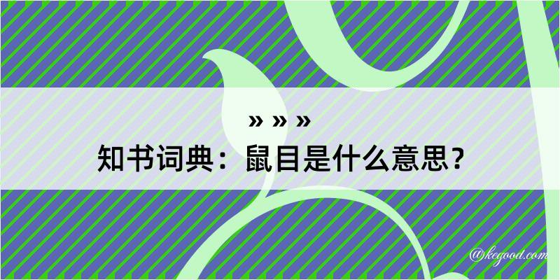 知书词典：鼠目是什么意思？