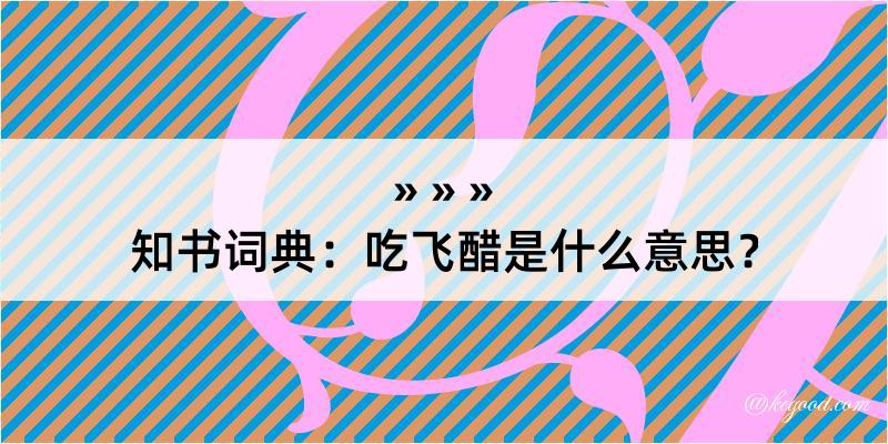 知书词典：吃飞醋是什么意思？