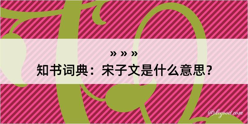 知书词典：宋子文是什么意思？