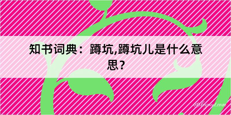 知书词典：蹲坑,蹲坑儿是什么意思？