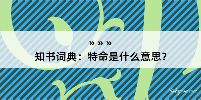 知书词典：特命是什么意思？