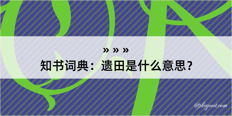 知书词典：遗田是什么意思？