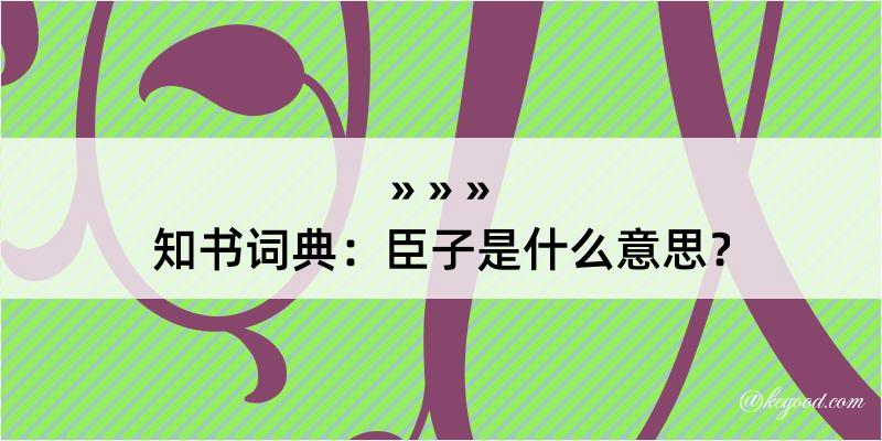 知书词典：臣子是什么意思？