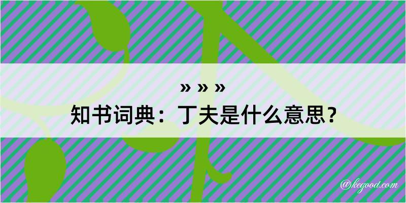 知书词典：丁夫是什么意思？