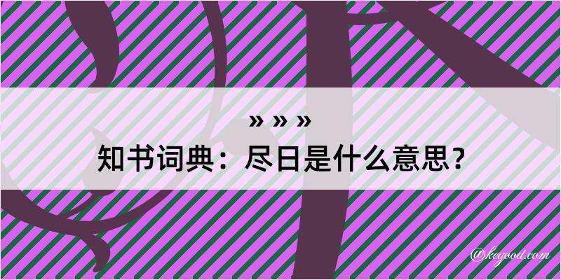 知书词典：尽日是什么意思？