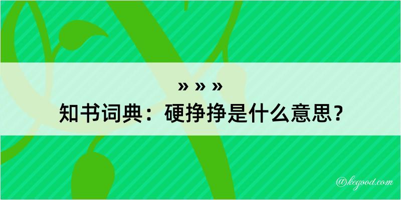 知书词典：硬挣挣是什么意思？