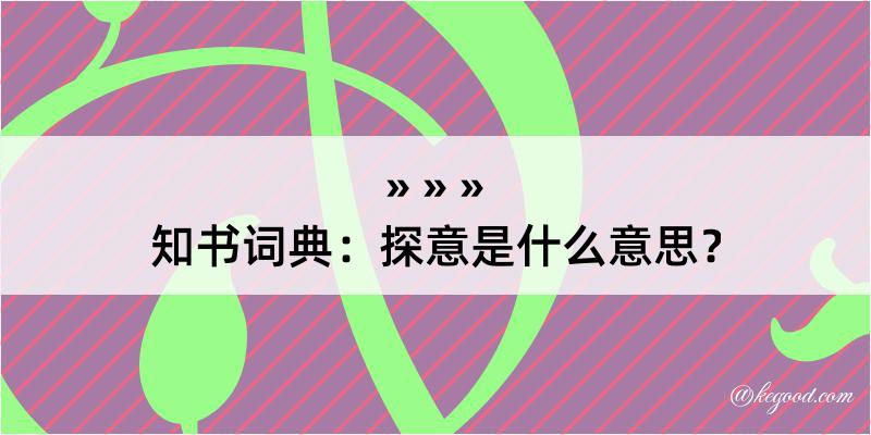 知书词典：探意是什么意思？