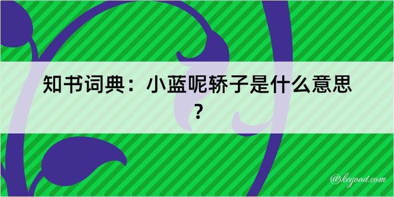 知书词典：小蓝呢轿子是什么意思？