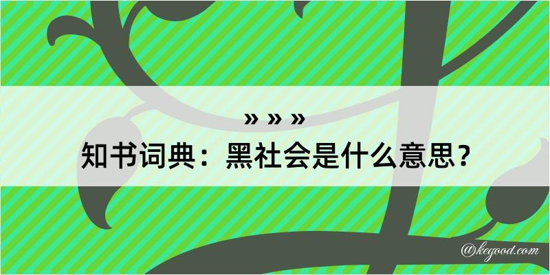 知书词典：黑社会是什么意思？