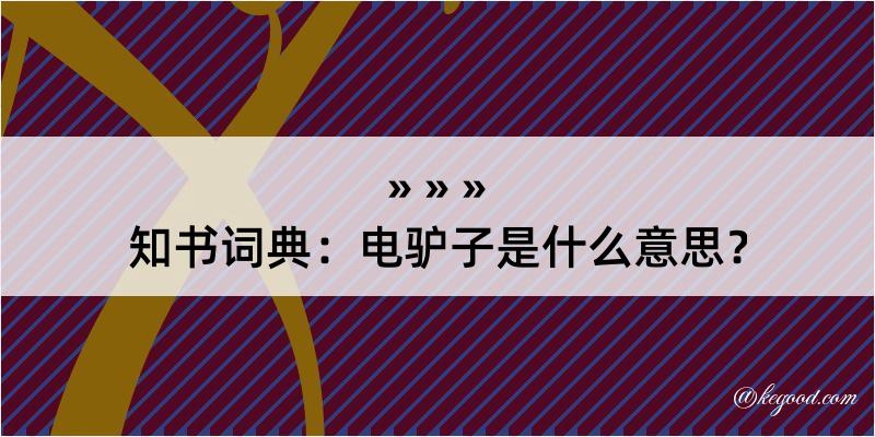 知书词典：电驴子是什么意思？