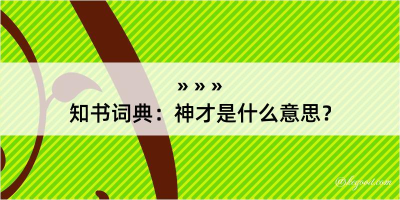 知书词典：神才是什么意思？