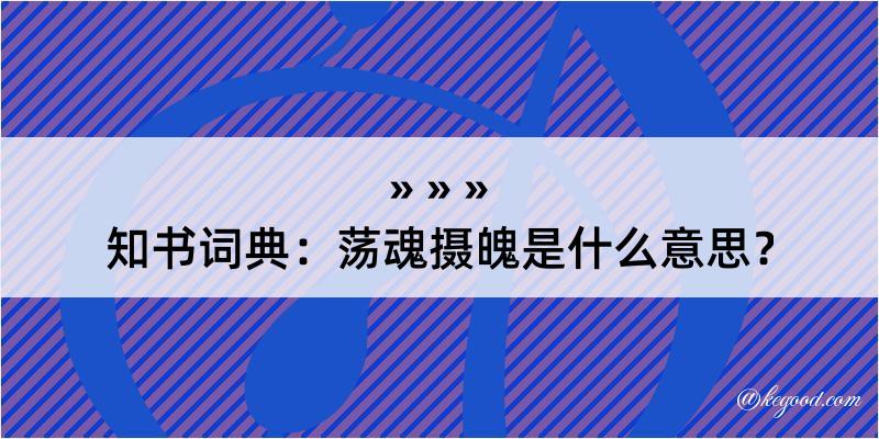 知书词典：荡魂摄魄是什么意思？