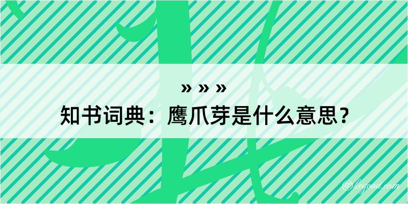 知书词典：鹰爪芽是什么意思？