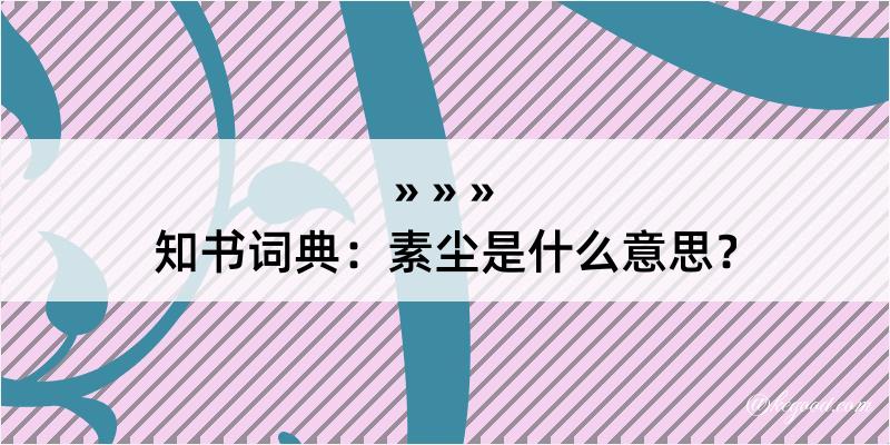 知书词典：素尘是什么意思？