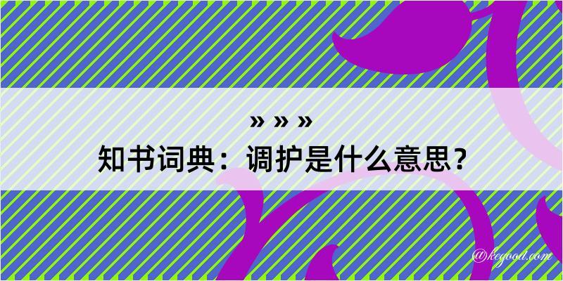 知书词典：调护是什么意思？