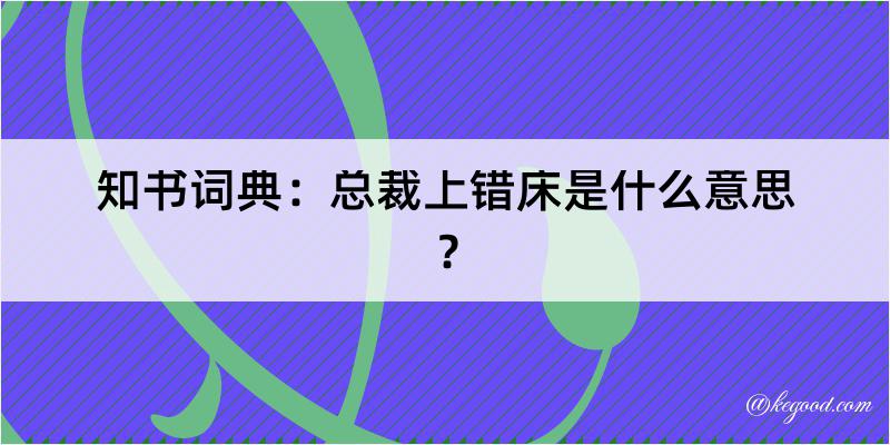 知书词典：总裁上错床是什么意思？