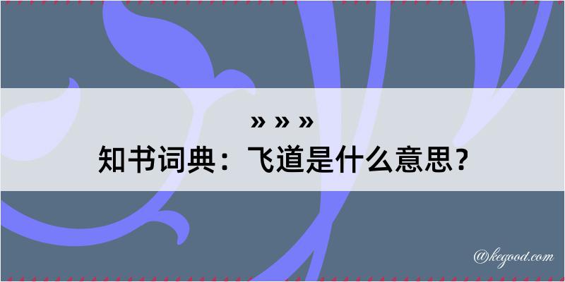 知书词典：飞道是什么意思？