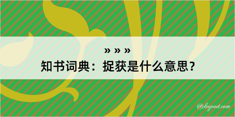 知书词典：捉获是什么意思？