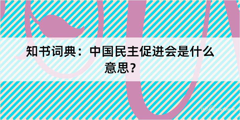 知书词典：中国民主促进会是什么意思？