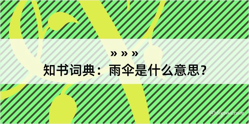 知书词典：雨伞是什么意思？