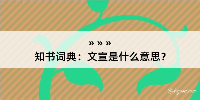 知书词典：文宣是什么意思？