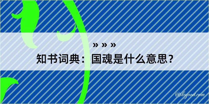 知书词典：国魂是什么意思？