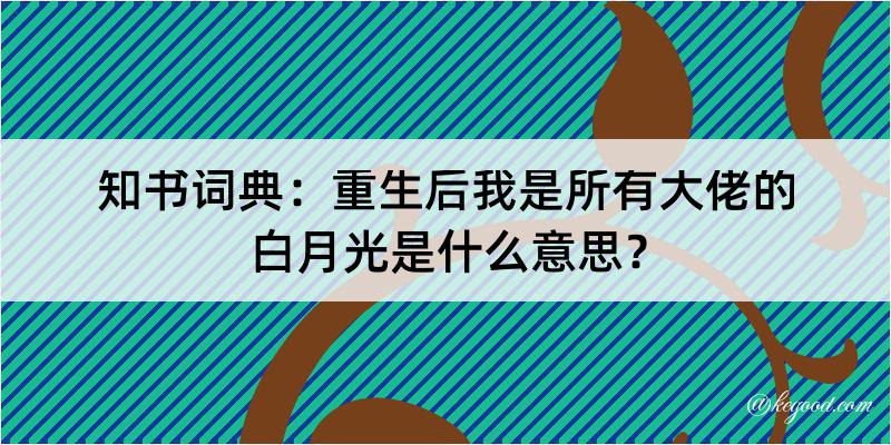 知书词典：重生后我是所有大佬的白月光是什么意思？