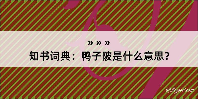 知书词典：鸭子陂是什么意思？