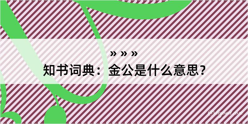 知书词典：金公是什么意思？