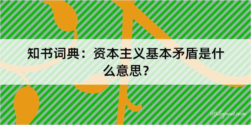 知书词典：资本主义基本矛盾是什么意思？