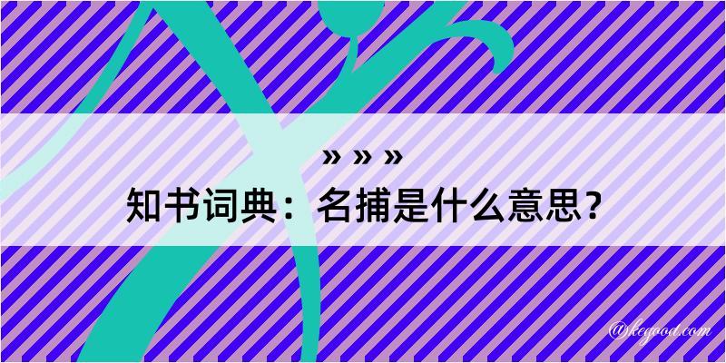 知书词典：名捕是什么意思？