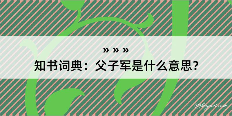 知书词典：父子军是什么意思？